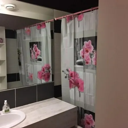 5 Pers, Balcon, 80m Pistes, Animaux Ok - Fr-1-404-228